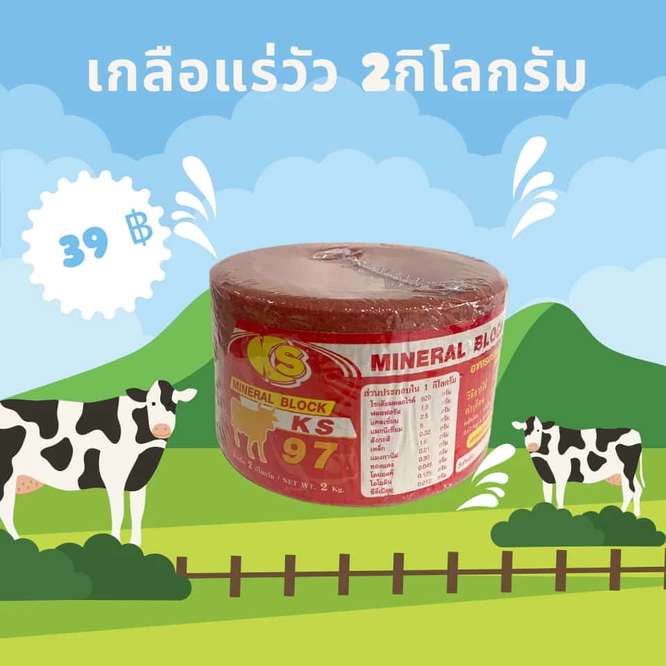สีแดง สำหรับตัวผู้ เกลือแร่วัว ก้อน 2 กิโล แร่ธาตุ วิตามิน สำหรับ วัว ควาย แพะ แกะ ม้า แบบก้อน