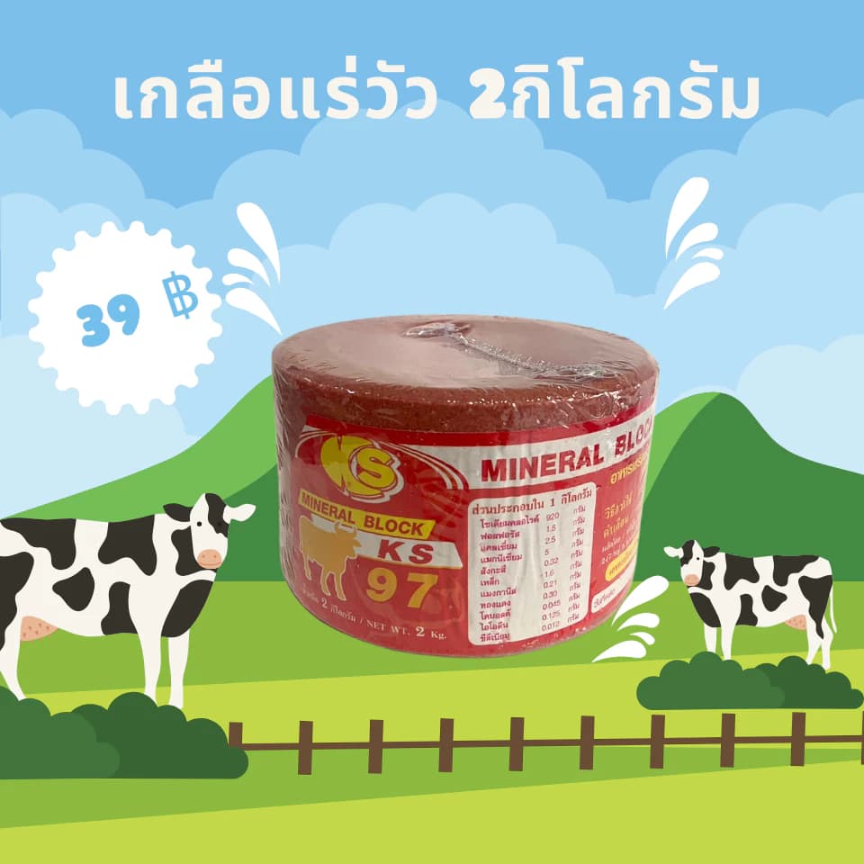 สีแดง สำหรับตัวผู้ เกลือแร่วัว ก้อน 2 กิโล แร่ธาตุ วิตามิน สำหรับ วัว ควาย แพะ แกะ ม้า แบบก้อน