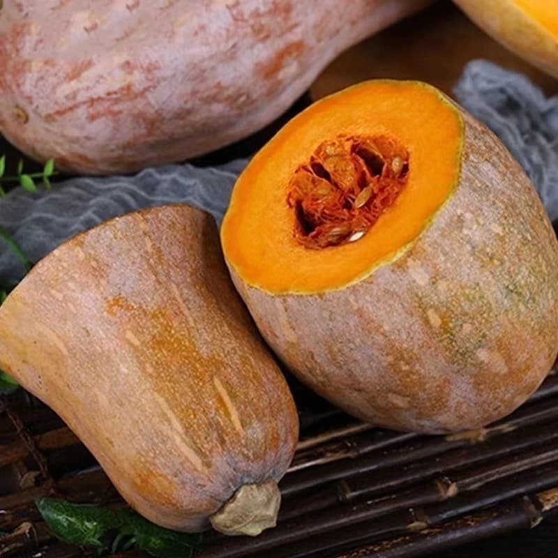 10 เม็ด เมล็ดพันธุ์ฟักทองน้ำเต้า