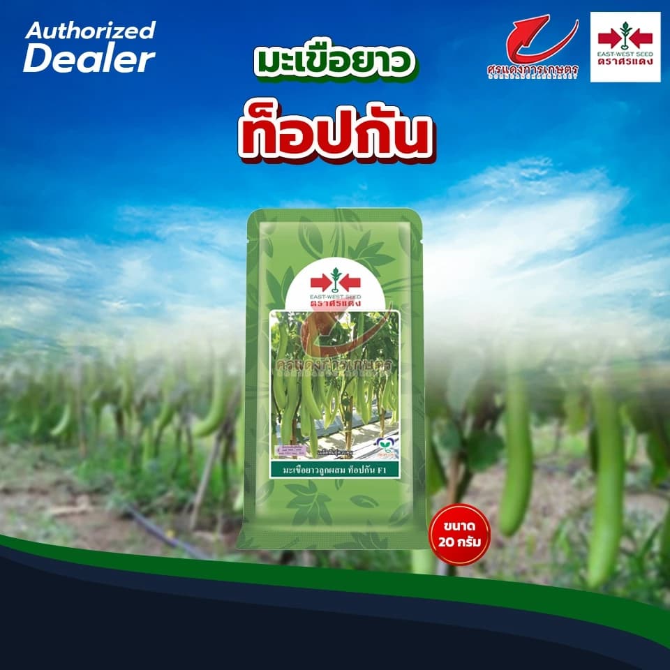 เมล็ดพันธุ์ มะเขือยาวท็อปกัน 20g ศรแดง