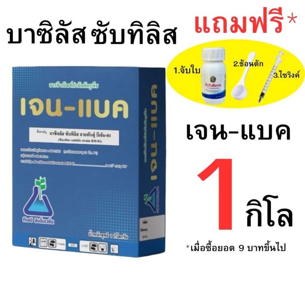 บาซิลลัส ซับทิลิส มีทะเบียน เจน-แบค บาซิทัส ลาร์มิน่า
