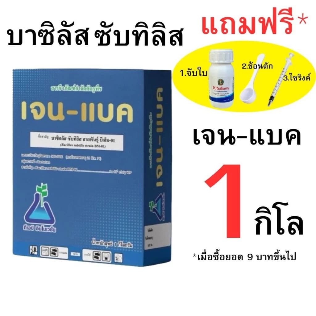 บาซิลลัส ซับทิลิส มีทะเบียน เจน-แบค บาซิทัส ลาร์มิน่า