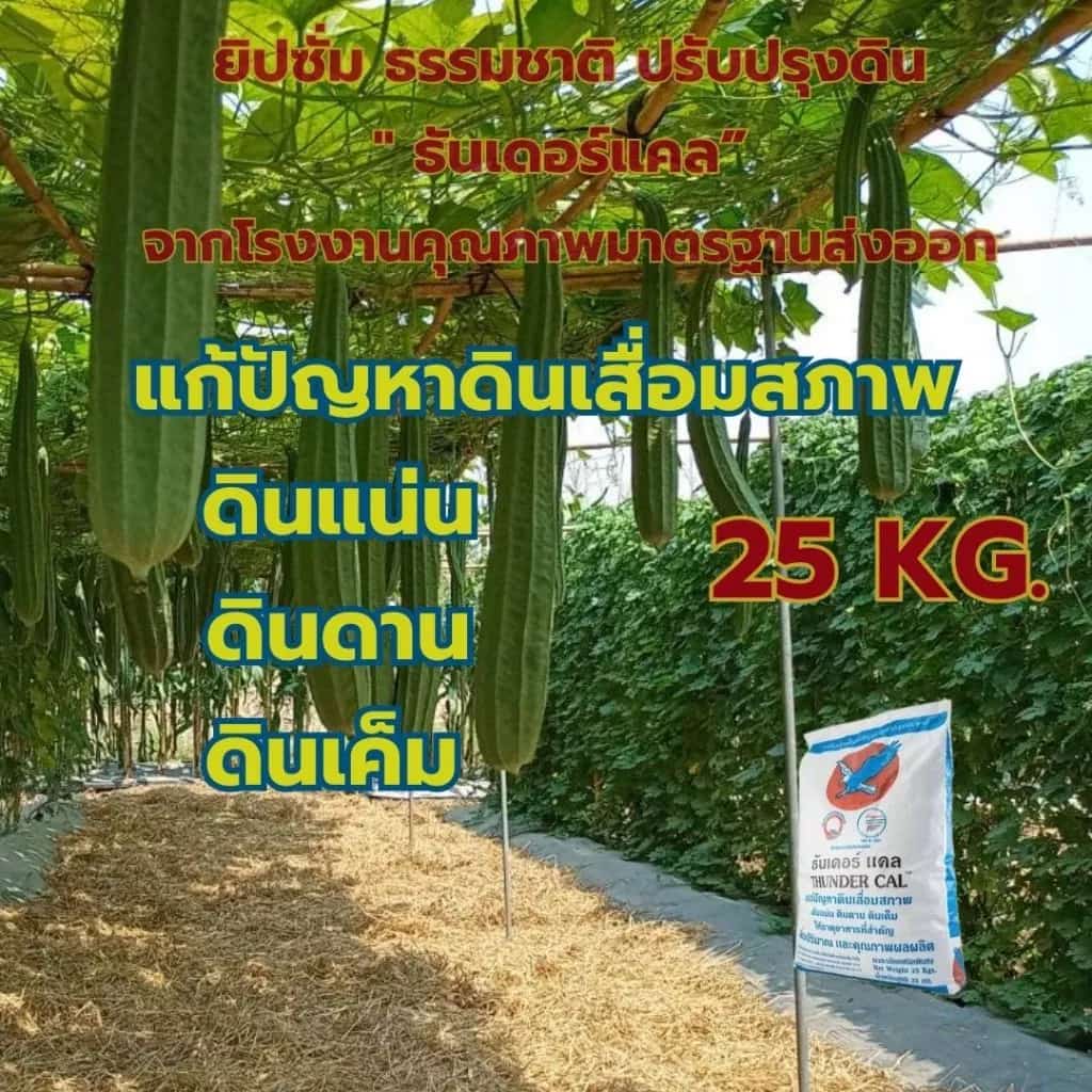 ยิปซั่มเกษตร ออร์แกนิค ปรับปรุงดิน เพิ่มธาตุอาหาร" ธันเดอร์แคล จากโรงงานคุณภาพมาตรฐานส่งออก 25…