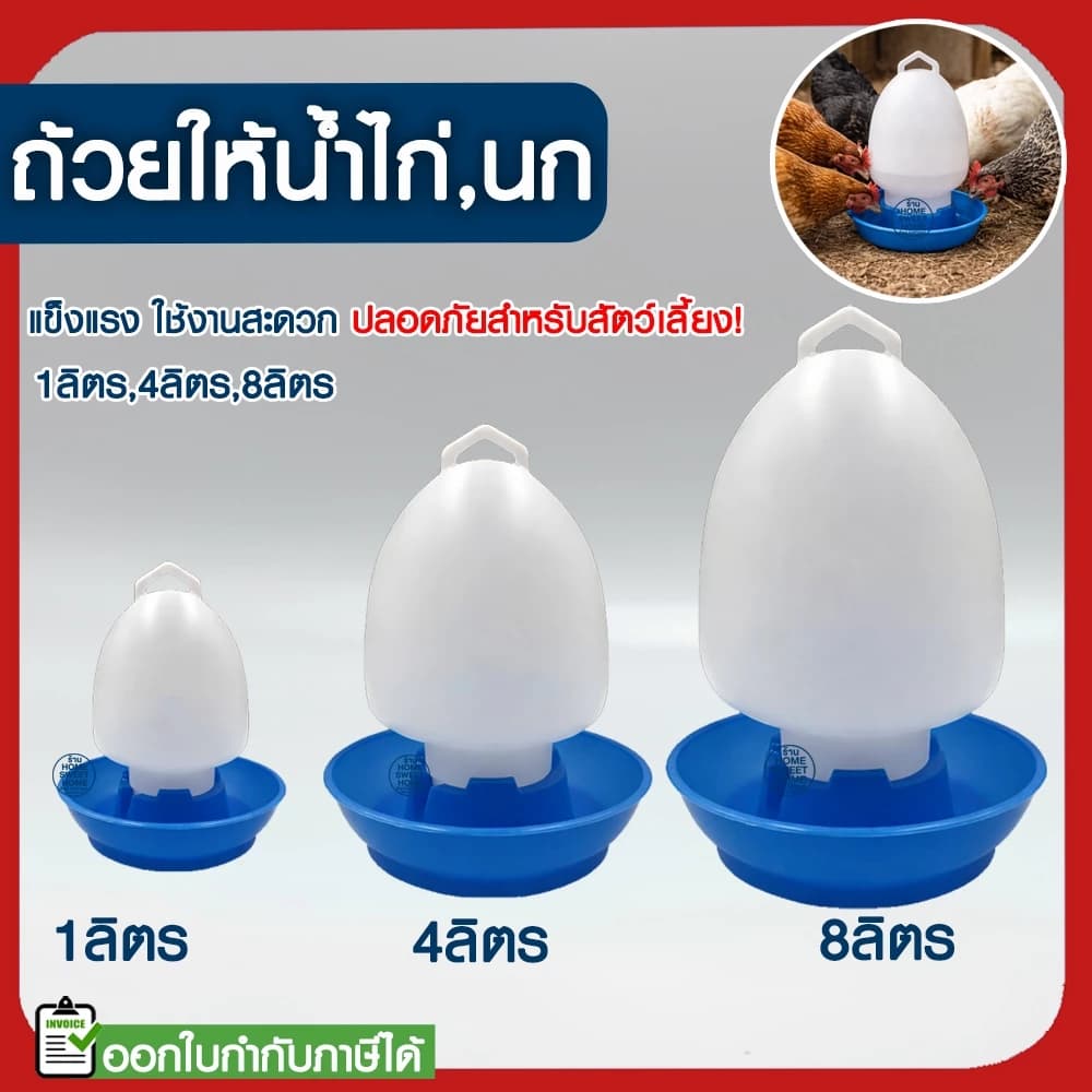 ถังใส่น้ำไก่ ที่ให้อาหารไก่