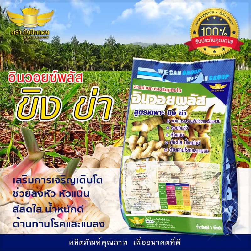 ปุ๋ยเกล็ด ขิง ข่า กระชาย ปุ๋ยพ่นทางใบ ขนาด 1 กิโลกรัม เร่งการเจริญเติบโต เพิ่มน้ำหนัก หัวแน่น