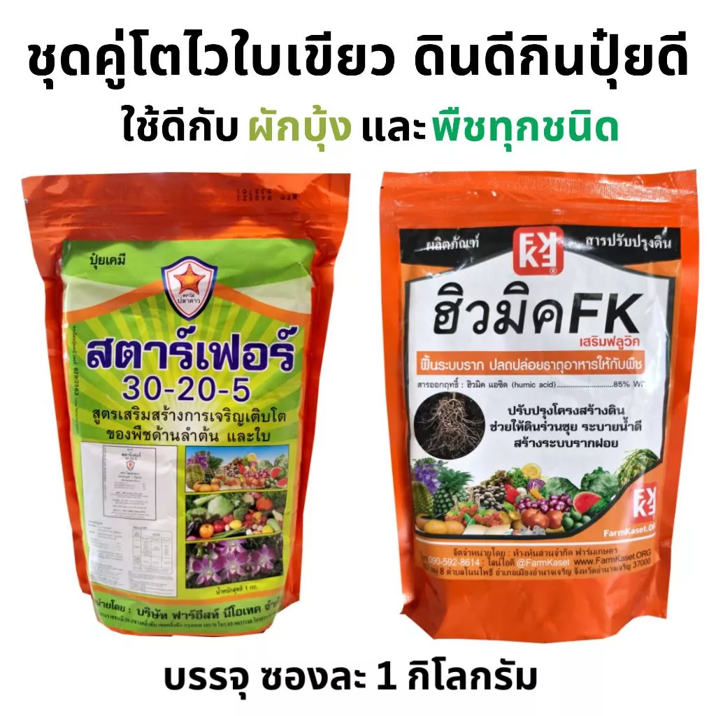 ปุ๋ยผักบุ้ง โตไว ใบเขียว แข็งแรง ดินดี รากแข็งแรง พืชกินปุ๋ยได้ดีขึ้น ฮิวมิคFK และปุ๋ยสตาร์เฟอร์