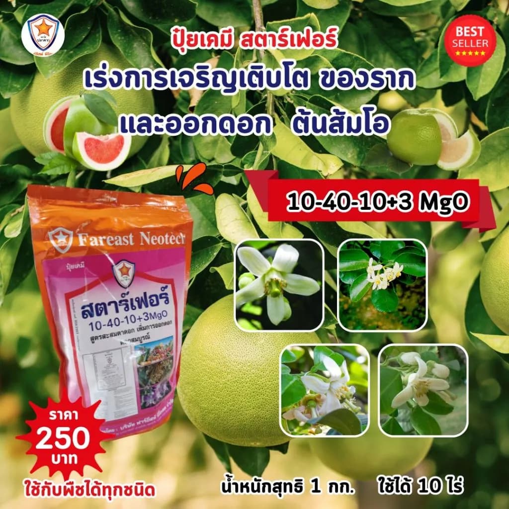 ปุ๋ยเร่งรากส้มโอ ปุ๋ยเร่งดอกส้มโอ สูตร 10-40-10+3 MgO ปุ๋ยฉีดพ่นทางใบ ต้นส้มโอ โดย สตาร์เฟอร์ (ใช้ได้กับพืชทุกชนิด)