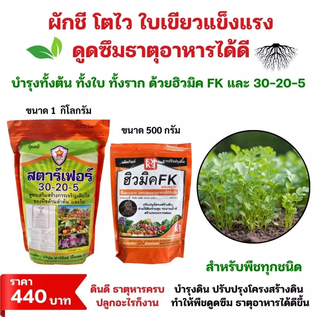 ชุดปุ๋ยเร่งโต ต้นผักชี โตไวใบเขียว บำรุงดิน พืชกินปุ๋ยได้ดี ฮิวมิค FK และปุ๋ยสตาร์เฟอร์ 30-20-5