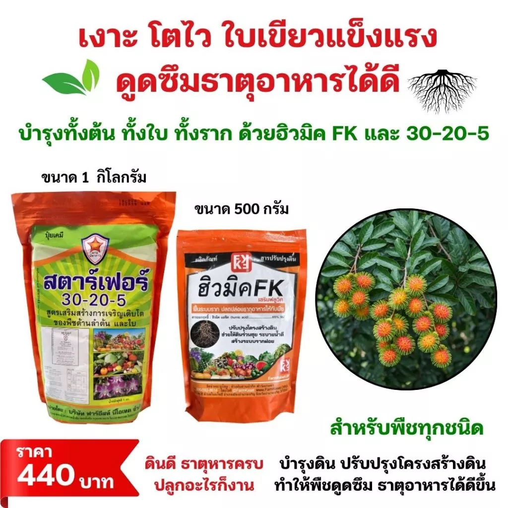 ชุดปุ๋ยเร่งโต ต้นเงาะ โตไวใบเขียว บำรุงดิน พืชกินปุ๋ยได้ดี ฮิวมิคFK และปุ๋ยสตาร์เฟอร์30-20-5