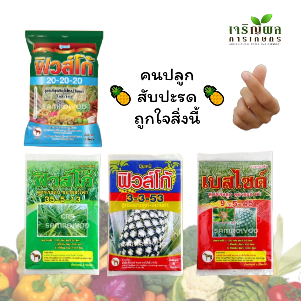 CRP ปุ๋ยสับปะรด ปุ๋ยฟิวส์โก้ และเบสไซด์ ขนาด 5 กก. ปุ๋ยตัวดังใช้ในสับปะรดดีมาก !!! ปังมากนะคะ ^^