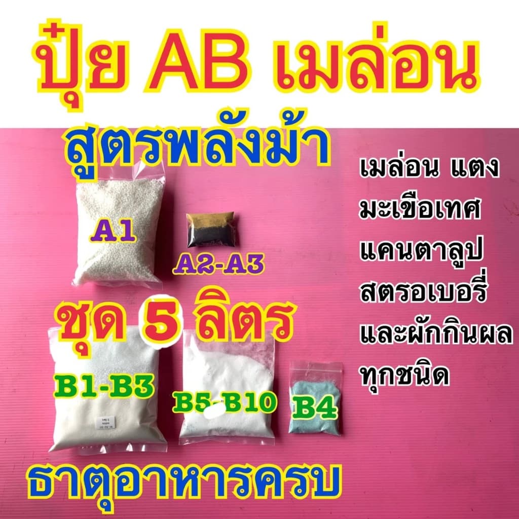 ปุ๋ย AB สูตรเมล่อน ปุ๋ยกันชา สูตรพลังม้า แคนตาลูป แตง มะเขือเทศ สตรอเบอรี่ และผักกินผลทุกชนิด ธาตุอาหารครบ ขนาด 5,10ลิตร