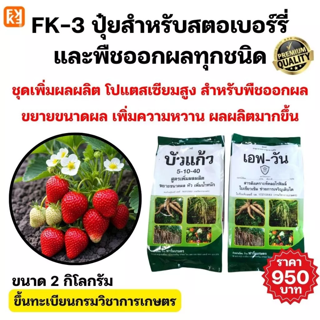 ปุ๋ยทางใบ สตรอว์เบอร์รี่ FK-1 ปุ๋ยเร่งโต ใบเขียวและปุ๋ย FK-3 สูตรเพิ่มหวาน ขยายผล เพิ่มผลผลิต