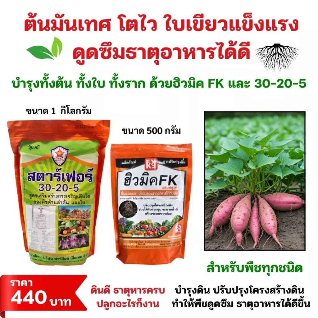 ชุดปุ๋ยเร่งโต ต้นมันเทศ โตไวใบเขียว บำรุงดิน พืชกินปุ๋ยได้ดี ฮิวมิคFK และปุ๋ยสตาร์เฟอร์30-20-5