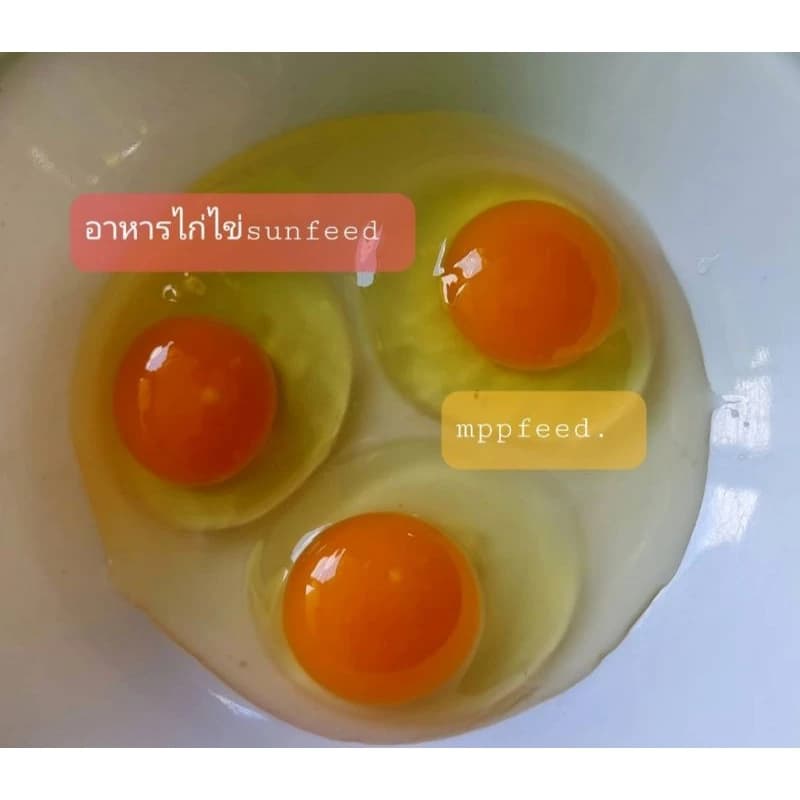 #อาหารไก่ไข่1กิโล30บาท #อาหารไก่ไข่ซันฟีด #อาหารไก่ไข่คุณภาพดี