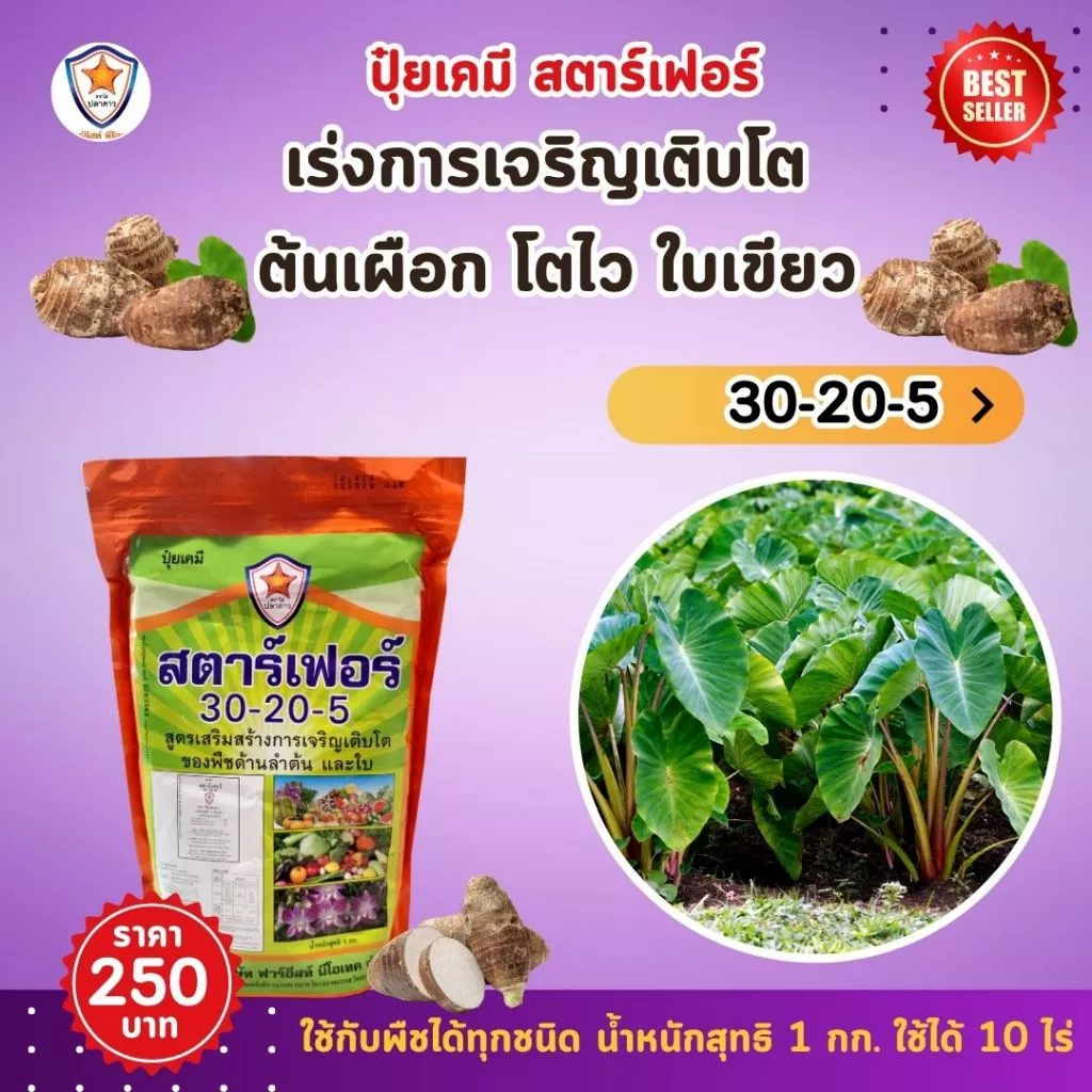 ปุ๋ย ฉีดพ่น ต้นเผือก โตไว ใบเขียว เร่งราก เร่งดอก หัวใหญ่ น้ำหนักดี เพิ่มผลผลิต โดย สตาร์เฟอร์