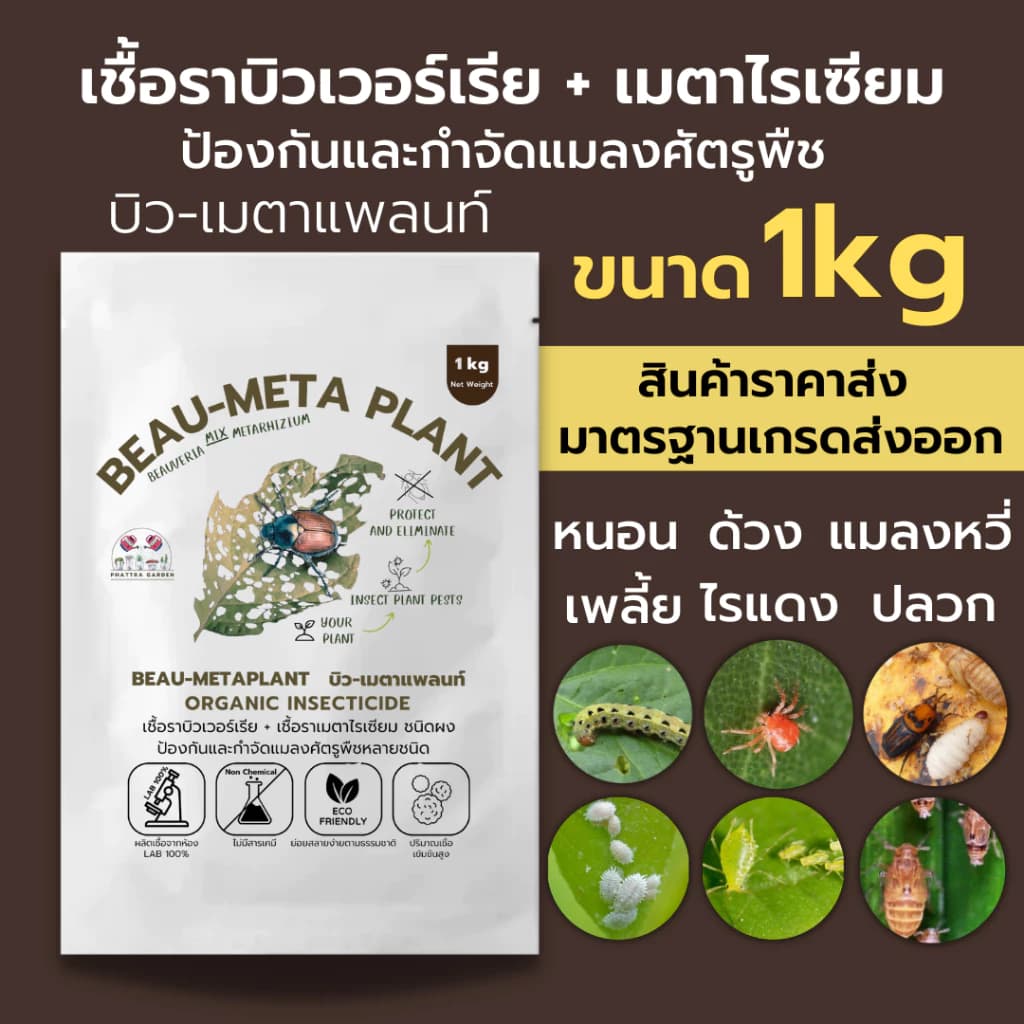 บิวเวอร์เรีย ผสม เมธาไรเซียม 1kg ราคาส่ง กำจัดแมลงศัตรูพืชทุกชนิด ออร์แกนิค ปลอดภัย