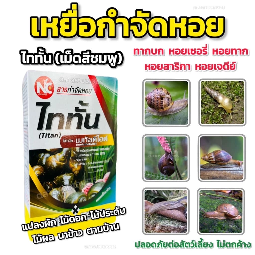 เหนื่อยกำจัดหอย ไททั้น เมทัลดีไฮด์ ** กำจัดหอยทุกชนิด ** ยาหอย ยากำจัดหอย กําจัดหอยทาก กำจัดหอยเชอรี่ หอยทาก หอยศัตรูพืช