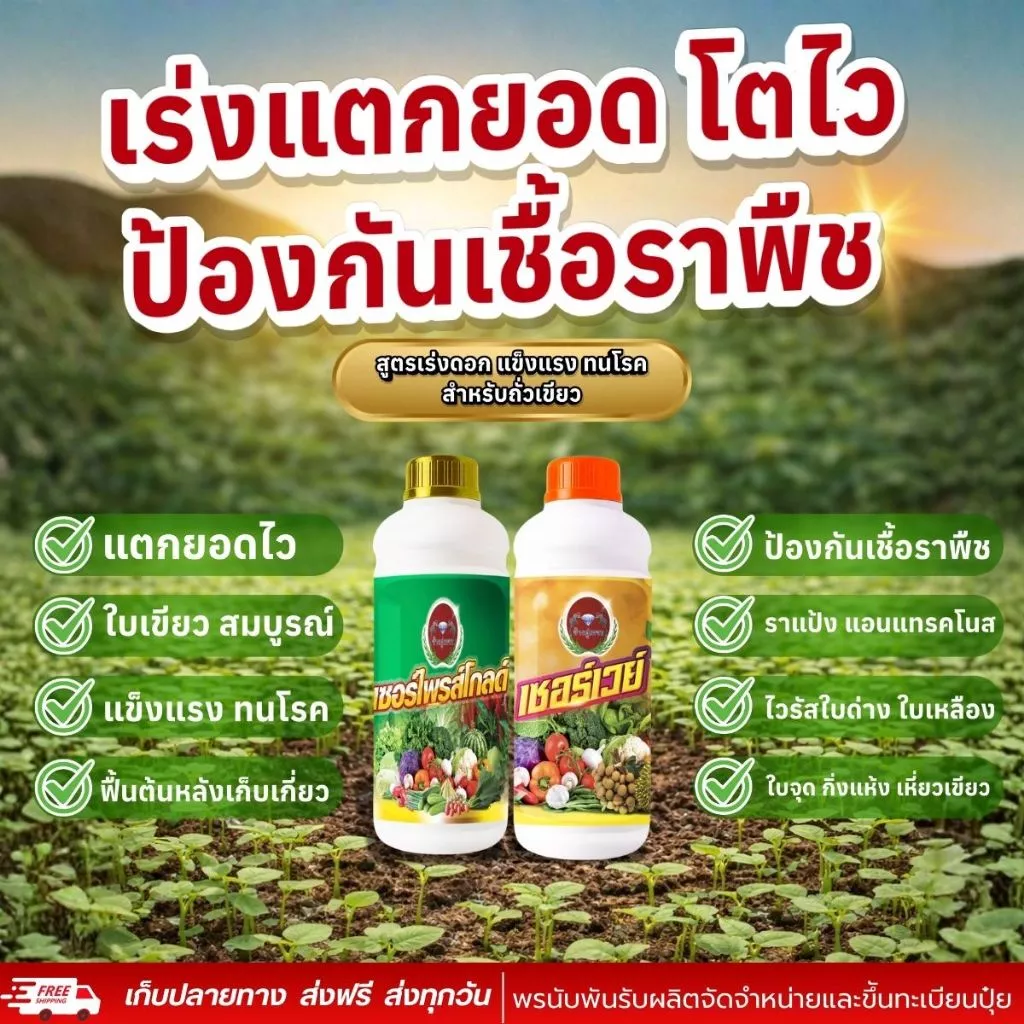 ชุดคู่หูถั่วเขียว "เซอร์ไพรส์โกลด์ + เซอร์เวย์" ปุ๋ยเร่งแตกยอดไว ใบเขียวสมบูรณ์ ป้องกันเชื้อราแอนแทรคโนสและใบจุด