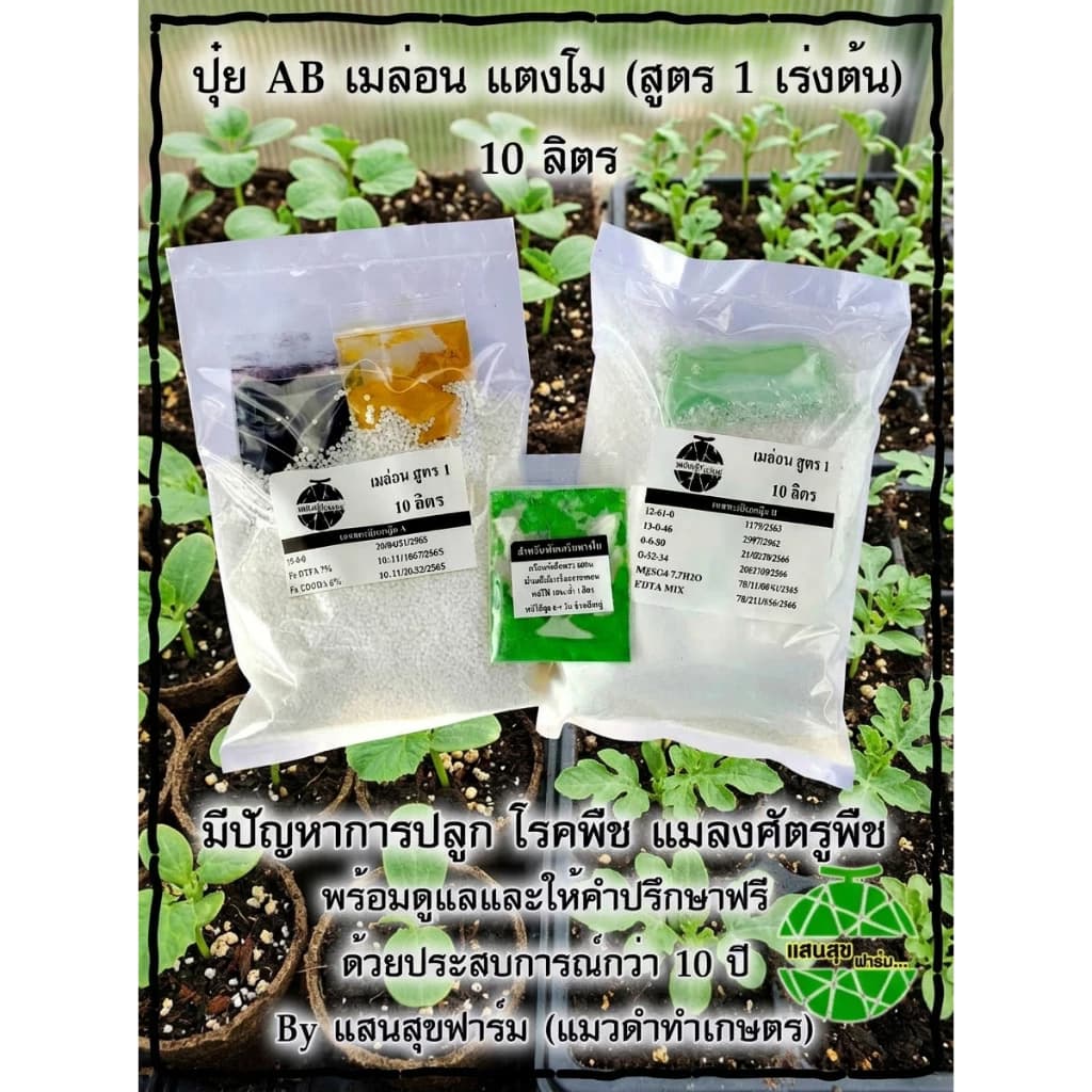 ปุ๋ย AB เมล่อน แตงกวาญีุ่่ปุ่น ฟักทองบัตเตอร์นัท สูตร 1 บำรุงต้นใบแขนง สำหรับปลูกช่วง 10-35 วัน